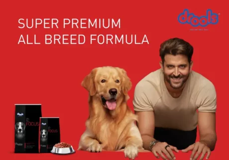 Best Dog Food in India, Drools Focus Dog Food at ithinkpets.com
