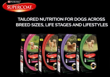Best Dog Food in India, Purina Supercoat Dog Food at ithinkpets.com