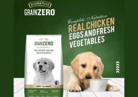 Best Dog Food in India, Signature Grain Zero Dog Food at ithinkpets.com