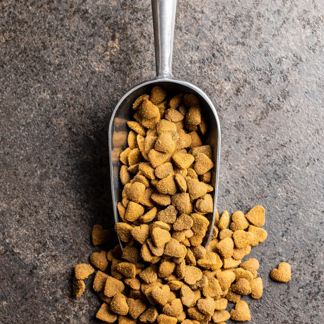 Best otc 2024 dog food