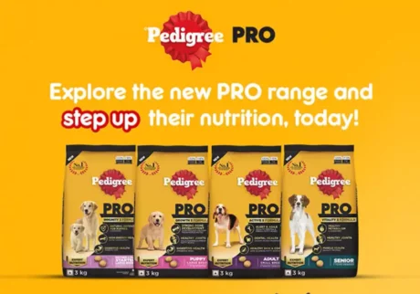 Best Dog food in india, Pedigree Pro Dog Food at ithinkpets.com