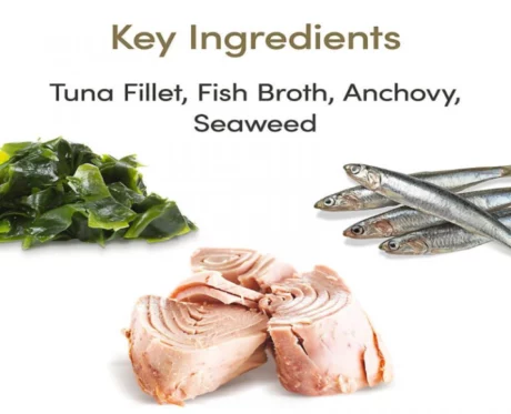 Applaws Cat Tuna Fillet with Anchovy Cat Food at ithinkpets