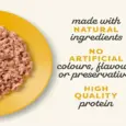 Applaws Chicken Breast Natural Kitten Food, 70 Gms at ithinkpets.com 4