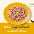 Applaws Chicken Breast Natural Kitten Food, 70 Gms at ithinkpets.com 5