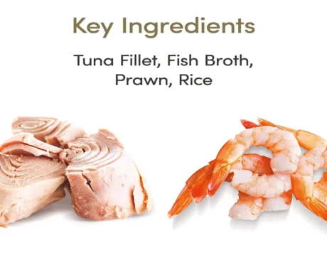 Applaws Natural Tuna Fillet and Prawn Wet Cat Food, 70 Gms at ithinkpets.com