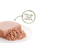 Applaws Natural Tuna Mousse Cat Food, 70 Gms at ithinkpets