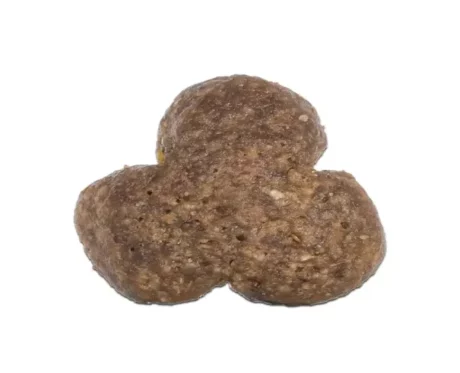 Arden Grange Mini and Medium Breed Adult Adult Dry Dog Food at ithinkpets