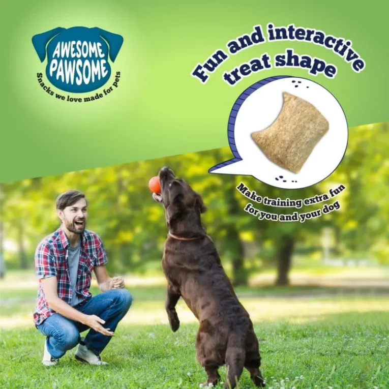 Turkey Pumpkin Dog Treats - Pawsome Recipes