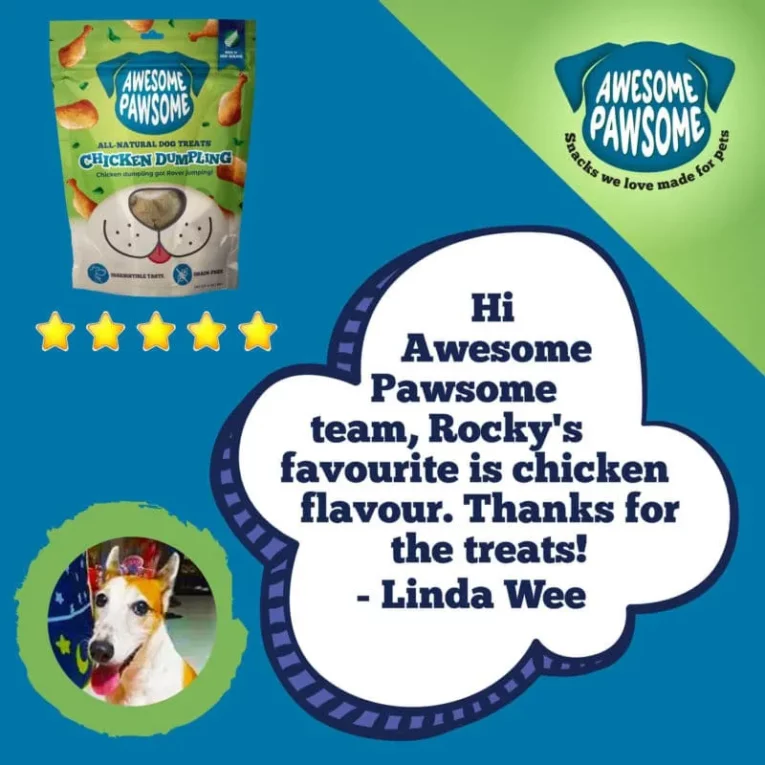 Awesome-Pawsome-Chicken-Dumpling-Dog-Treats-7