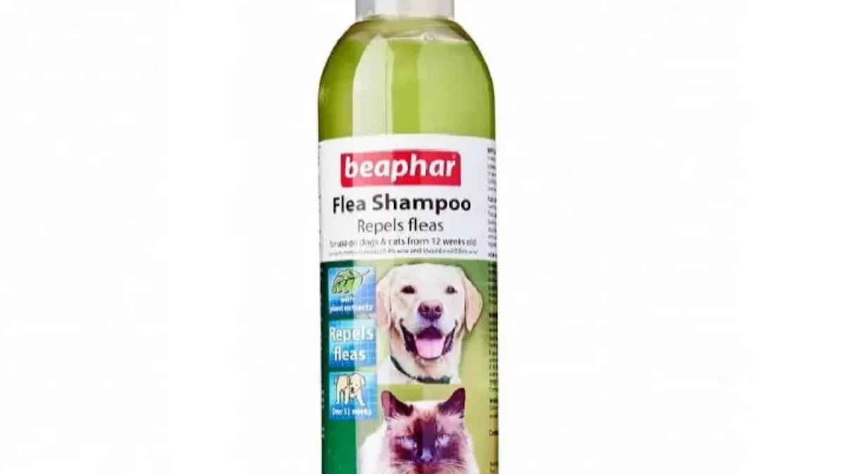 Flea shampoo 2025 for rats