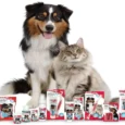 Beaphar Dental Powder for Dogs and Cats 75 gms