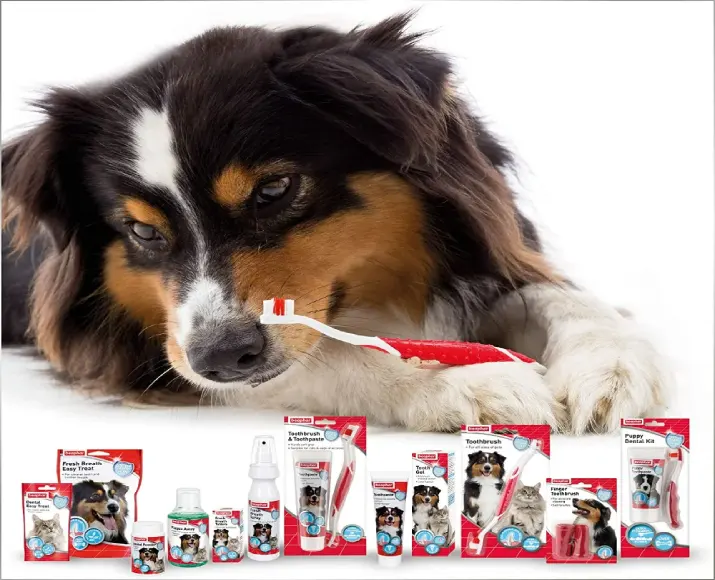 Beaphar Double Action Toothpaste Dogs and Cats at ithinkpets (2)
