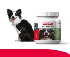 Beaphar HD Tablet Puppies & Adult Dogs, 60 Tablets at ithinkpets.com (2)