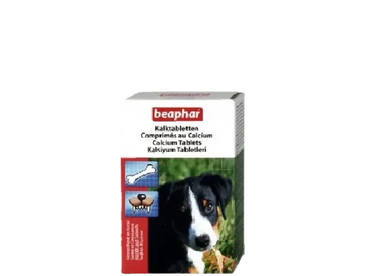 Calcium tablets 2025 for dogs