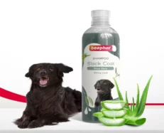 Beaphar Shampoo Black Coat Dogs and Cats 250 ml at ithinkpets.com (2)