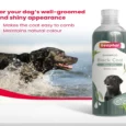 Beaphar Shampoo Black Coat Dogs and Cats 250 ml