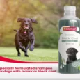 Beaphar Shampoo Black Coat Dogs and Cats 250 ml