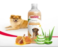 Beaphar Shampoo Brown Coat Dogs and Cats 250 ml at ithinkpets.com (2)