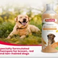 Beaphar Shampoo Brown Coat Dogs and Cats 250 ml