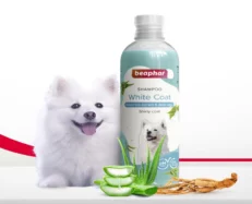 Beaphar Shampoo White Coat Dogs And Cats 250 ml at ithinkpets.com (2)