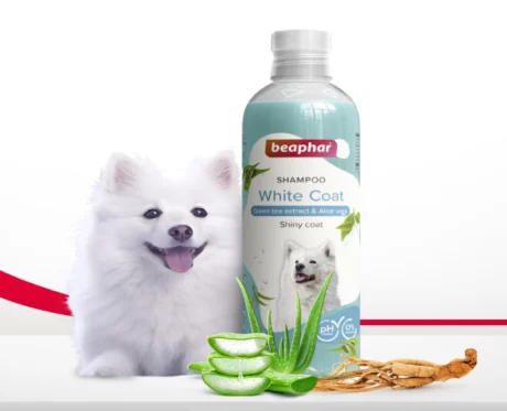 Beaphar Shampoo White Coat Dogs And Cats 250 ml at ithinkpets.com (2)