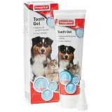 Dental Hygiene
