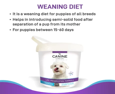 Canine Creek Pup Booster- Weaning Puppy Diet, All Breeds at ithinkpets