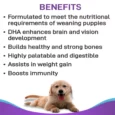 Canine Creek Pup Booster Weaning Puppy Diet 300 Gm ( All Breeds)