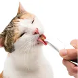 Cat Treats