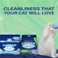 Catsan 100% Natural Clumping Cat Litter Cat And Kitten