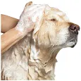 Grooming