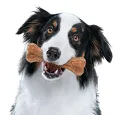 Dog Treats