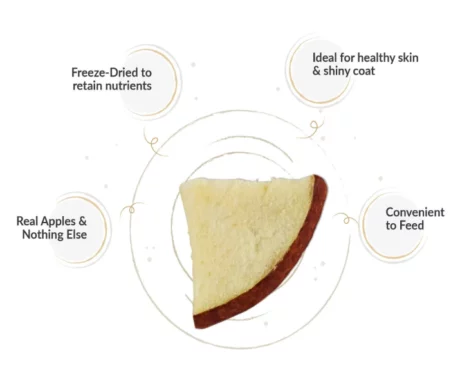 Dogsee-Crunch-Apple-Freeze-Dried-Apple-Treats-Puppies-and-Adult-Dogs- at ithinkpets.com (2)