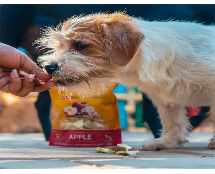 Dogsee-Crunch-Apple-Freeze-Dried-Apple-Treats-Puppies-and-Adult-Dogs- at ithinkpets.com (3)
