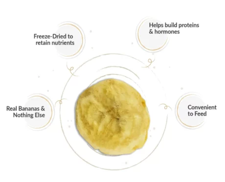 Dogsee-Crunch-Banana-Freeze-Dried-Banana-Dog-Puppies-and-Adult-Dogs- at ithinkpets.com (2)