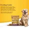 Dogsee Crunchies Puffed Dog Treats for Puppies and Adult Dogs 70 Gms