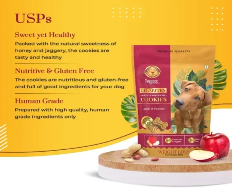 Dogsee Gigabites Apple and Peanut Dog Biscuits Cookies for Dogs