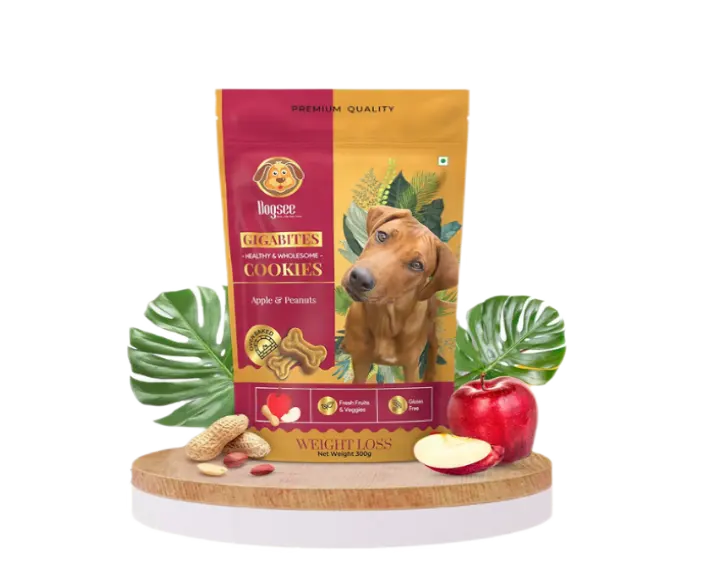 Dogsee Gigabites Apple and Peanut Dog Biscuits Cookies for Dogs