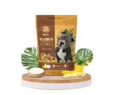 Dogsee Gigabites Banana and Yogurt Dog Biscuits Cookies for Dogs at ithinkpets