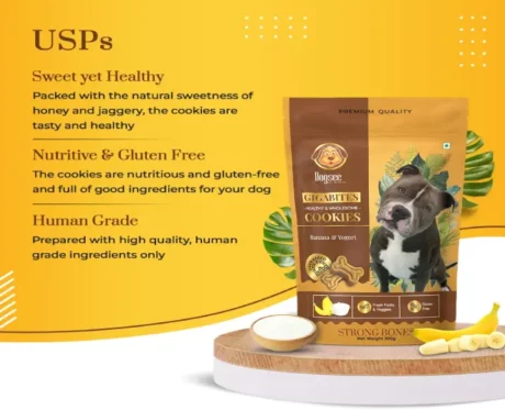 Dogsee Gigabites Banana and Yogurt Dog Biscuits Cookies for Dogs at ithinkpets