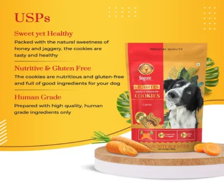 Dogsee Gigabites Carrot Dog Biscuits at ithinkpets