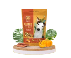 Dogsee Gigabites Pumpkin and Cinnamon Dog Biscuits at ithinkpets