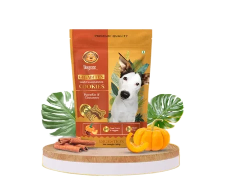 Dogsee Gigabites Pumpkin and Cinnamon Dog Biscuits at ithinkpets