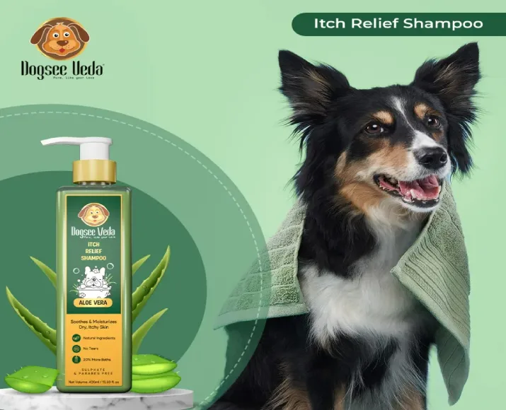 Dogsee Veda Aloe Vera Itch Relief Dog Shampoo at ithinkpets.com (3)