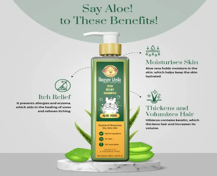 Dogsee Veda Aloe Vera Itch Relief Dog Shampoo at ithinkpets.com (7)