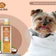 Dogsee Veda Coconut Shed Control Dog Shampoo