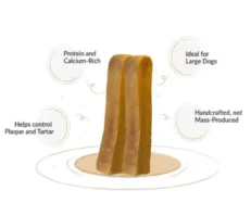 Dogsee Yak Milk Dental Chew Bars Large Long Lasting, Puppies & Adult Dogs at ithinkpets