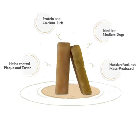 Dogsee Yak Milk Dental Chew Bars Medium Long Lasting, Puppies & Adult Dogs at ithinkpets