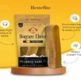 Dogsee Yalk Milk and Turmeric Large Dental Chew Bars, For Large Breed Puppies and Adult Dogs