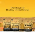 Dogsee Yalk Milk and Turmeric Large Dental Chew Bars, For Large Breed Puppies and Adult Dogs